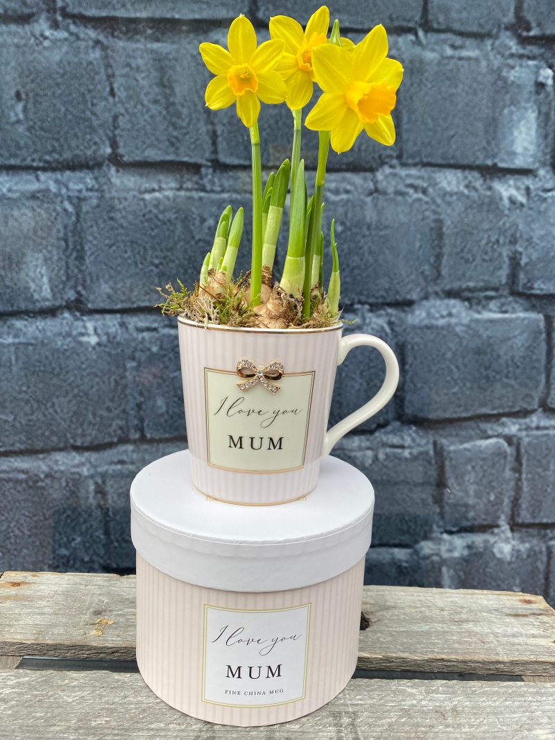 Mother’s Day gifts delivered in Eastbourne 