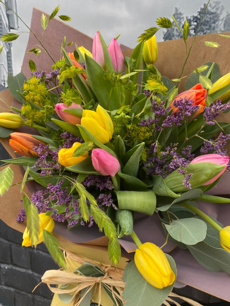 Tulips delivered in Eastbourne and Seaford