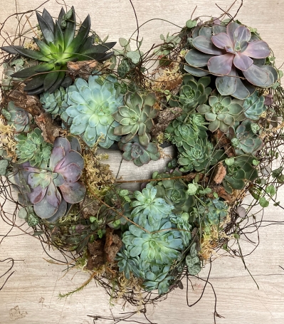 Succulent Wreath