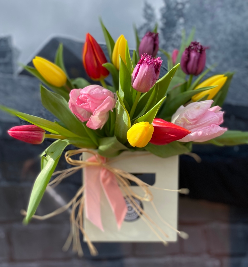 Tulips delivered in Eastbourne and Seaford