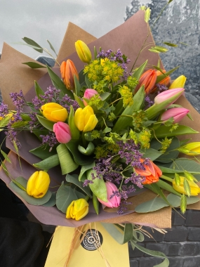 Tulips delivered in Eastbourne and Seaford