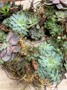 Succulent Wreath