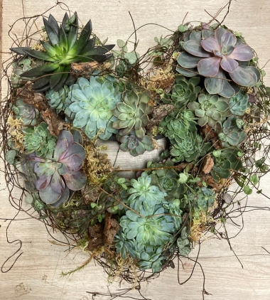 Succulent Wreath