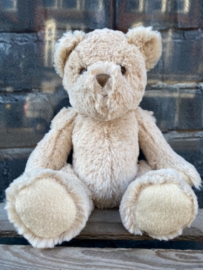 Teddy Bear delivered in Eastbourne 