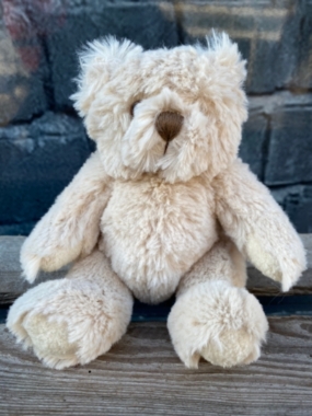 Small teddy bear delivered in Eastbourne 