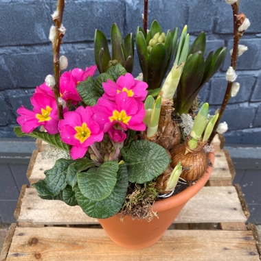 Outdoor planter delivered in Eastbourne 