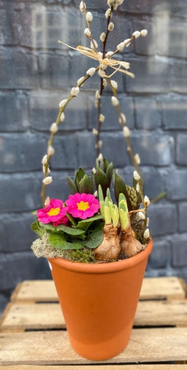 Outdoor planter delivered in Eastbourne 